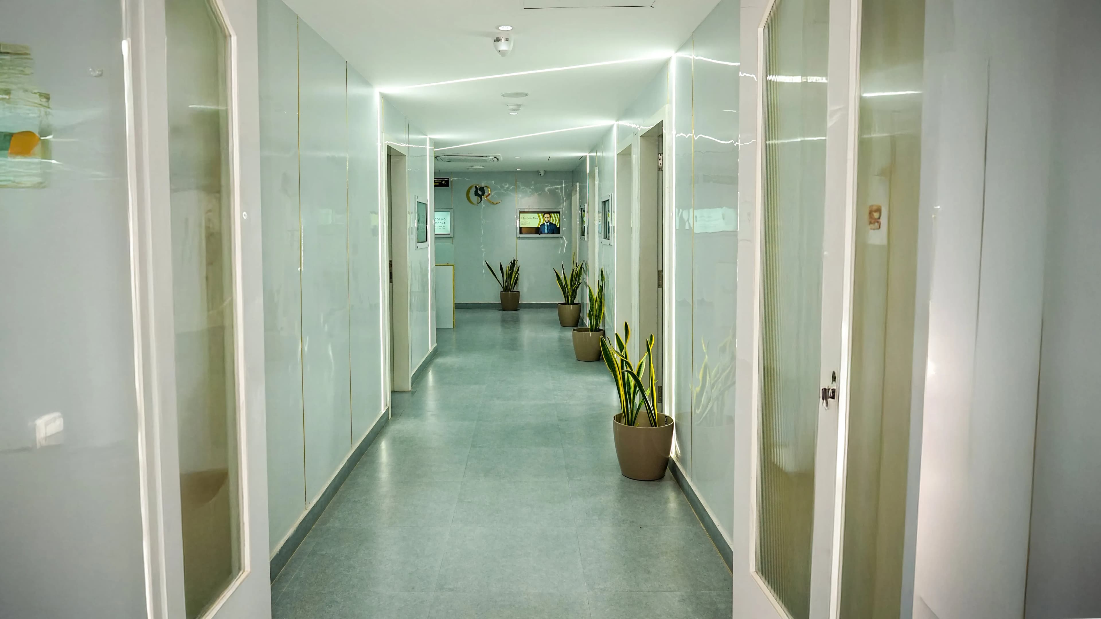Corridor leading to billing and consultation rooms with snake plants